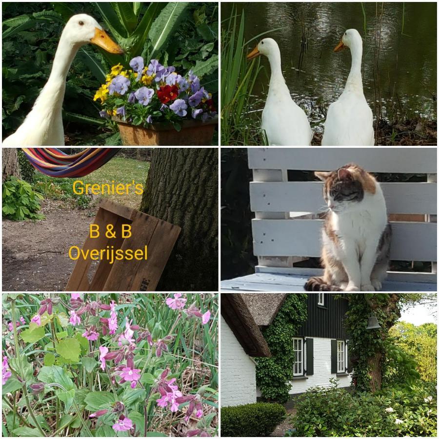Bed and Breakfast Grenier's Punthorst Exterior foto